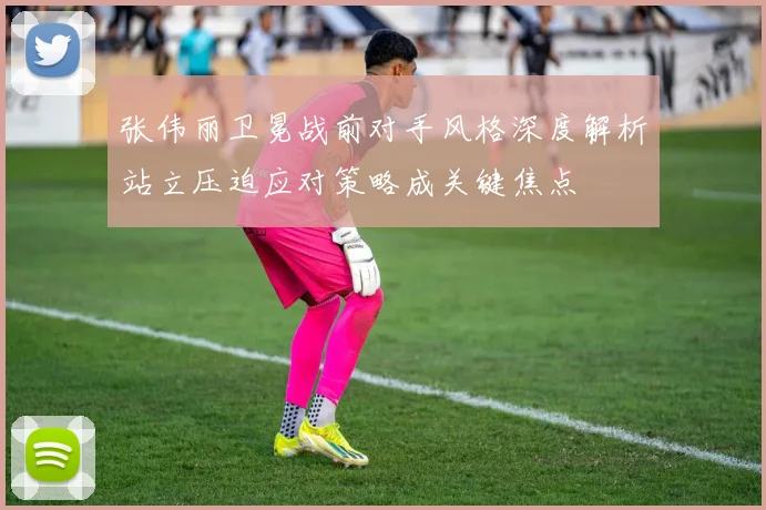 张伟丽卫冕战前对手风格深度解析站立压迫应对策略成关键焦点