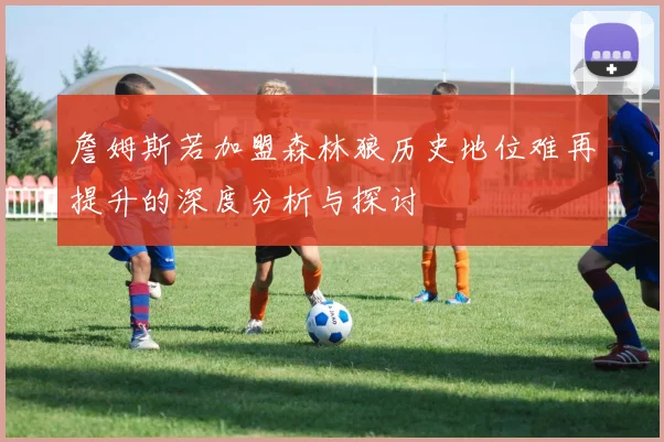 詹姆斯若加盟森林狼历史地位难再提升的深度分析与探讨